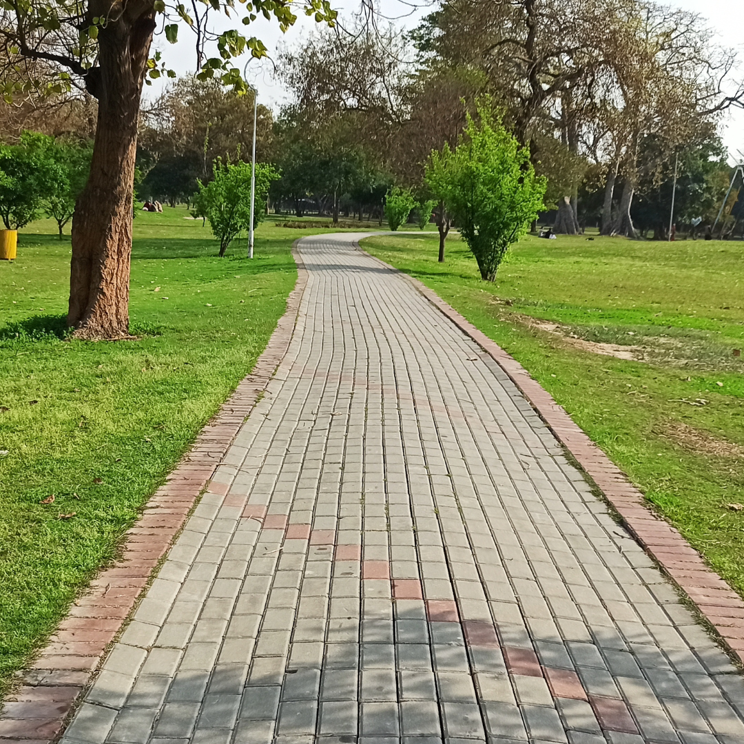 Walking Track